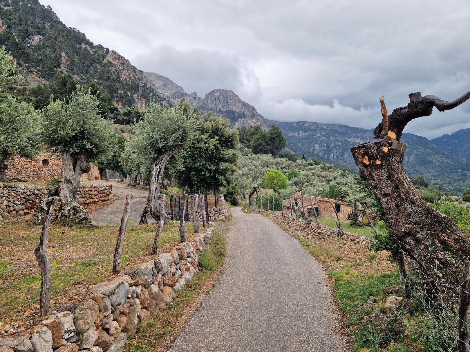 Fornalutx – stone village with terraced orange groves near Sóller